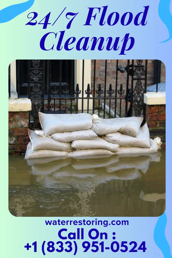24/7 Flood Cleanup in Ringwood, IL
