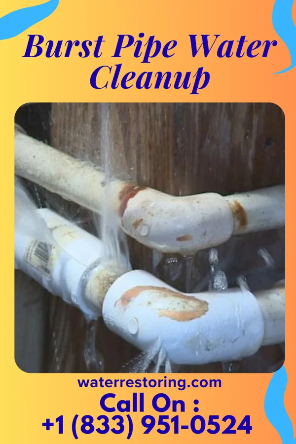 Burst Pipe Water Cleanup in Ringwood, IL