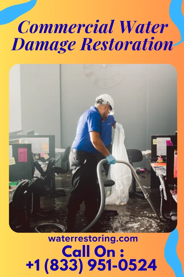 Commercial Water Damage Restoration in Ringwood, IL