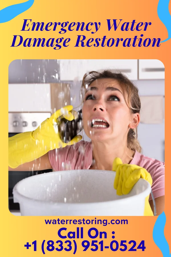 Emergency Water Damage Restoration in Ringwood, IL