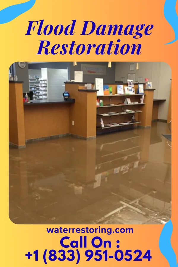 Flood Damage Restoration in Ringwood, IL